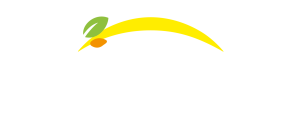 Bonduelle - Πίσω στην αρχική